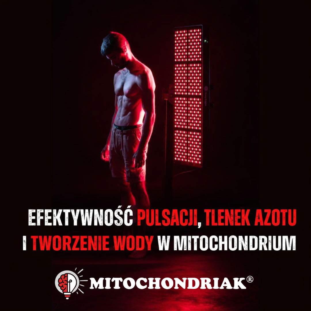 EasyLight - Mitochondriak - Efektivita pulzácie, NO a tvorba vody v mitochondriách
